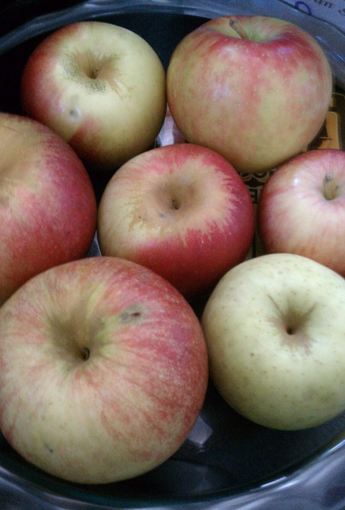 Apples for the Pie